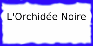 L'Orchidée Noire Nantes